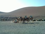 20120217_009 20120217_009.jpg